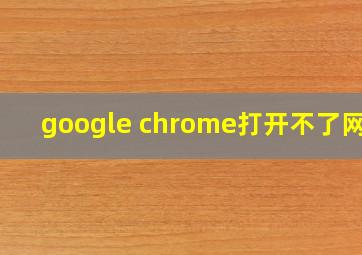 google chrome打开不了网页